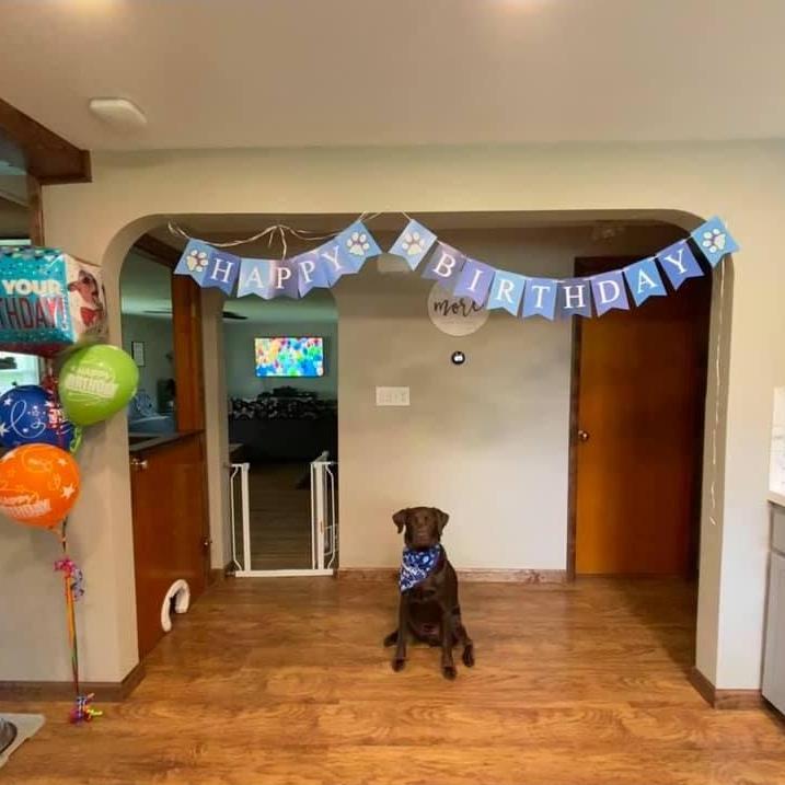 Remy's 1st Birthday