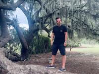 Boone Hall Plantation & Gardens