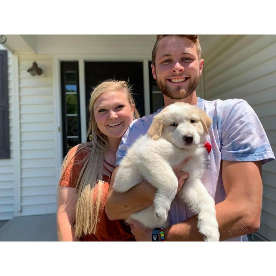 The day Teva came home and they became a family!