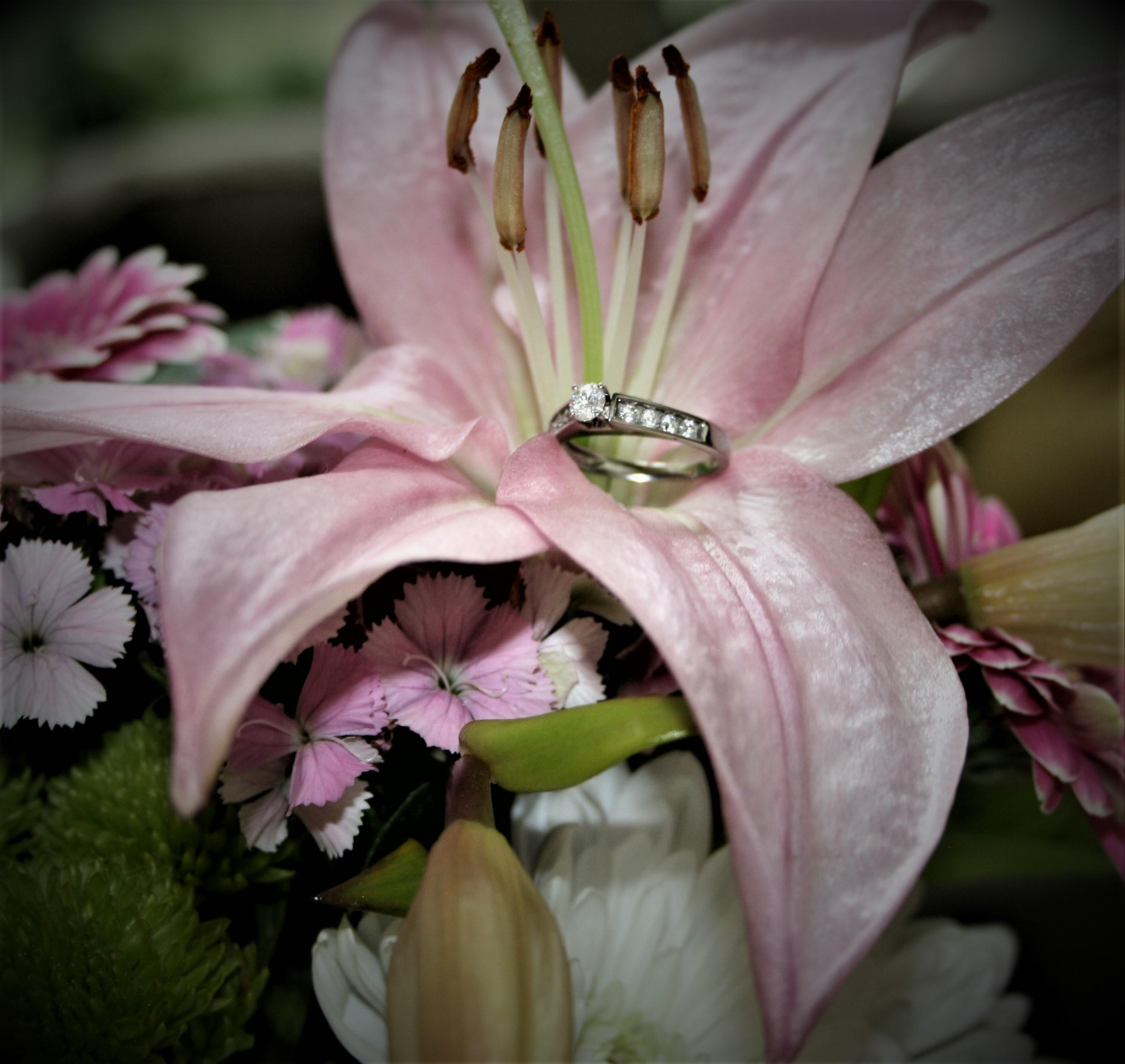 The Wedding Website of Sharayah Miller and Andrew Hoefs