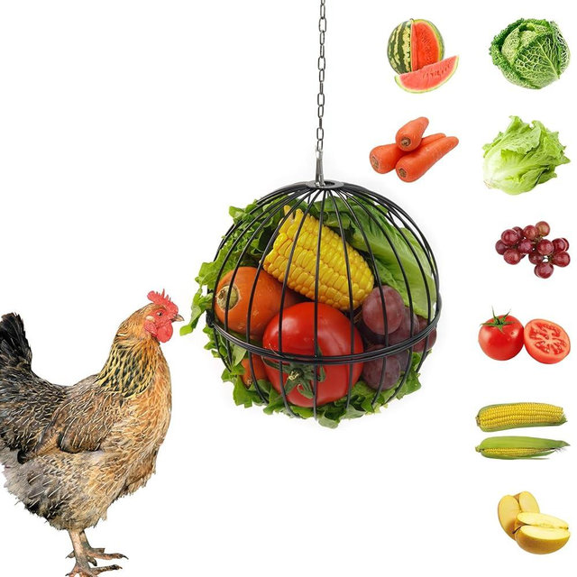 GSHWXD Hanging Chicken Feeder - 7.1 Inch Large Iron Chicken Veggie Treat Ball - Sturdy Chicken Treat Holder with 15.7 Inch Hanging Chain - Black