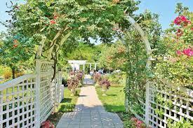 The Wedding Website of Joy Bethea and David Cordero