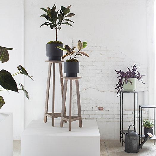 Three Leg Plant Stand