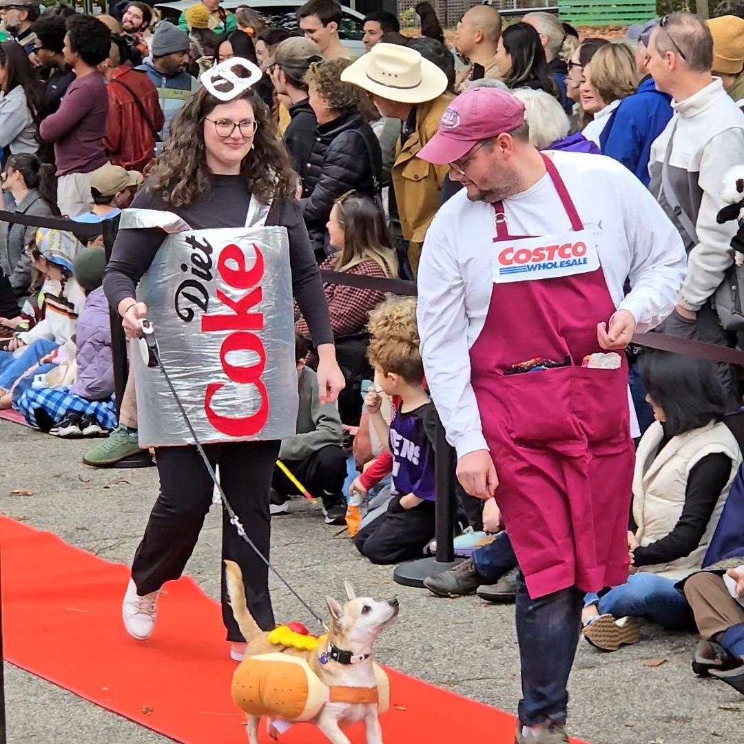 Should have won first prize at the neighborhood Halloween dog parade!