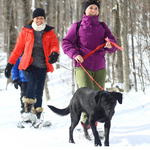 Snowshoeing