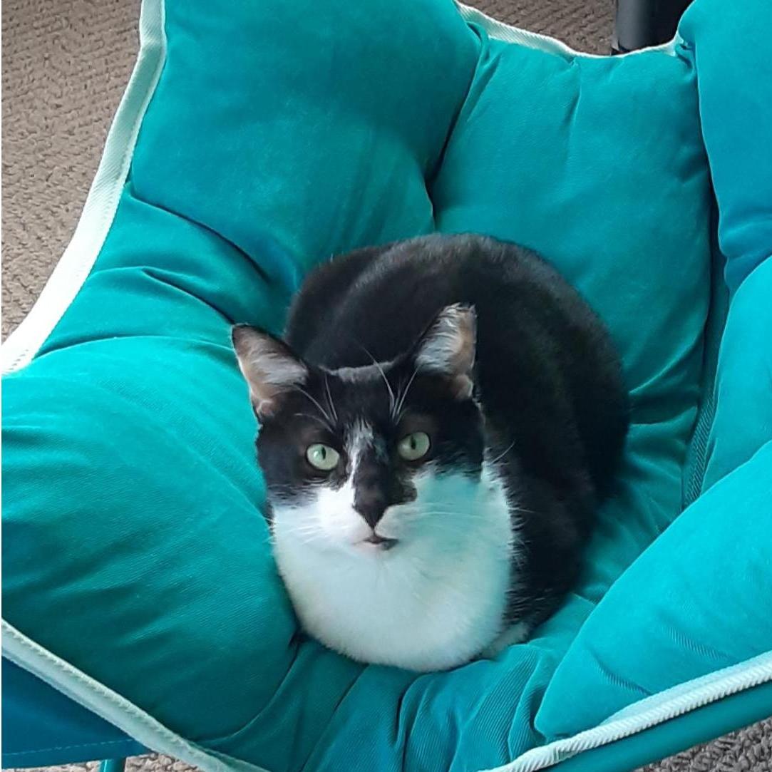 Our sweet boy!