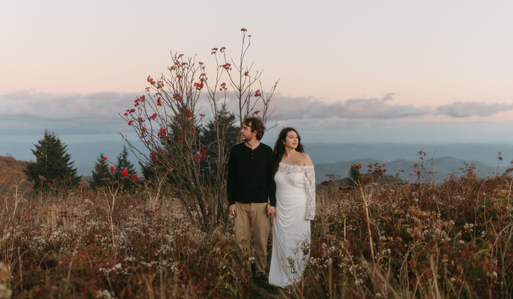 Hero Slideshow Image 4