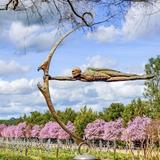 Sculpterra Winery and Sculpture Garden