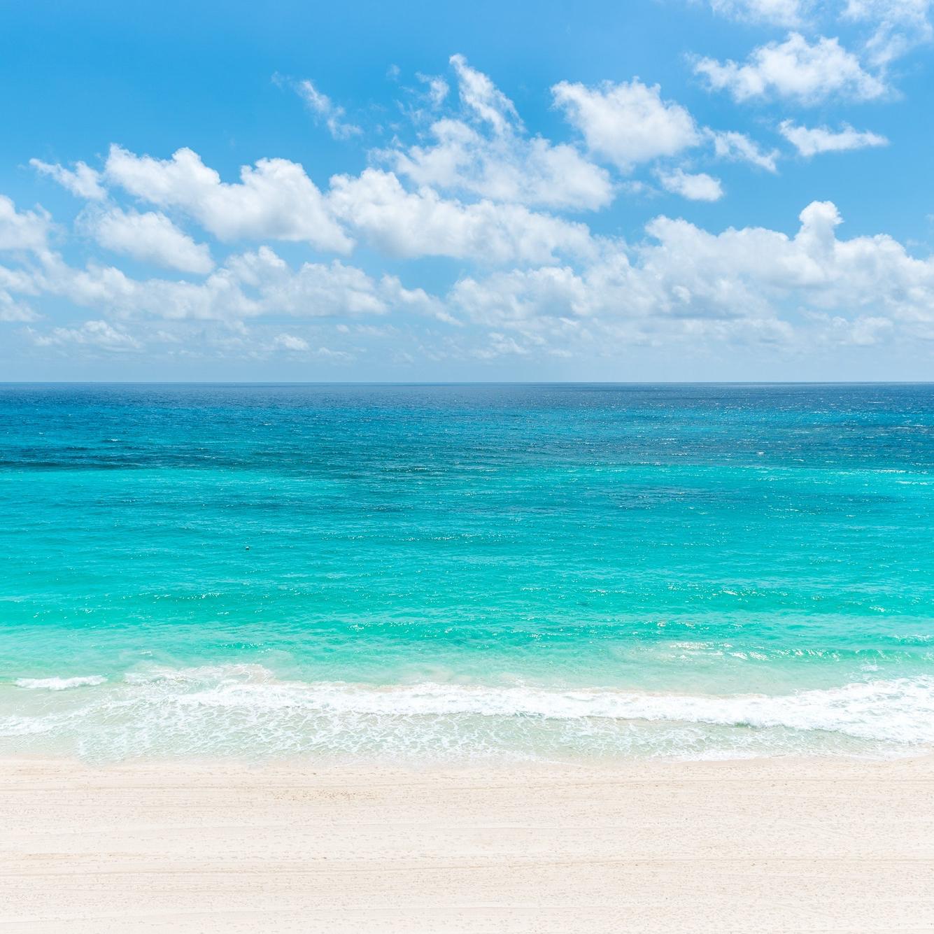Round Trip Plane Tickets for our Honeymoon