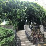 Cheekwood