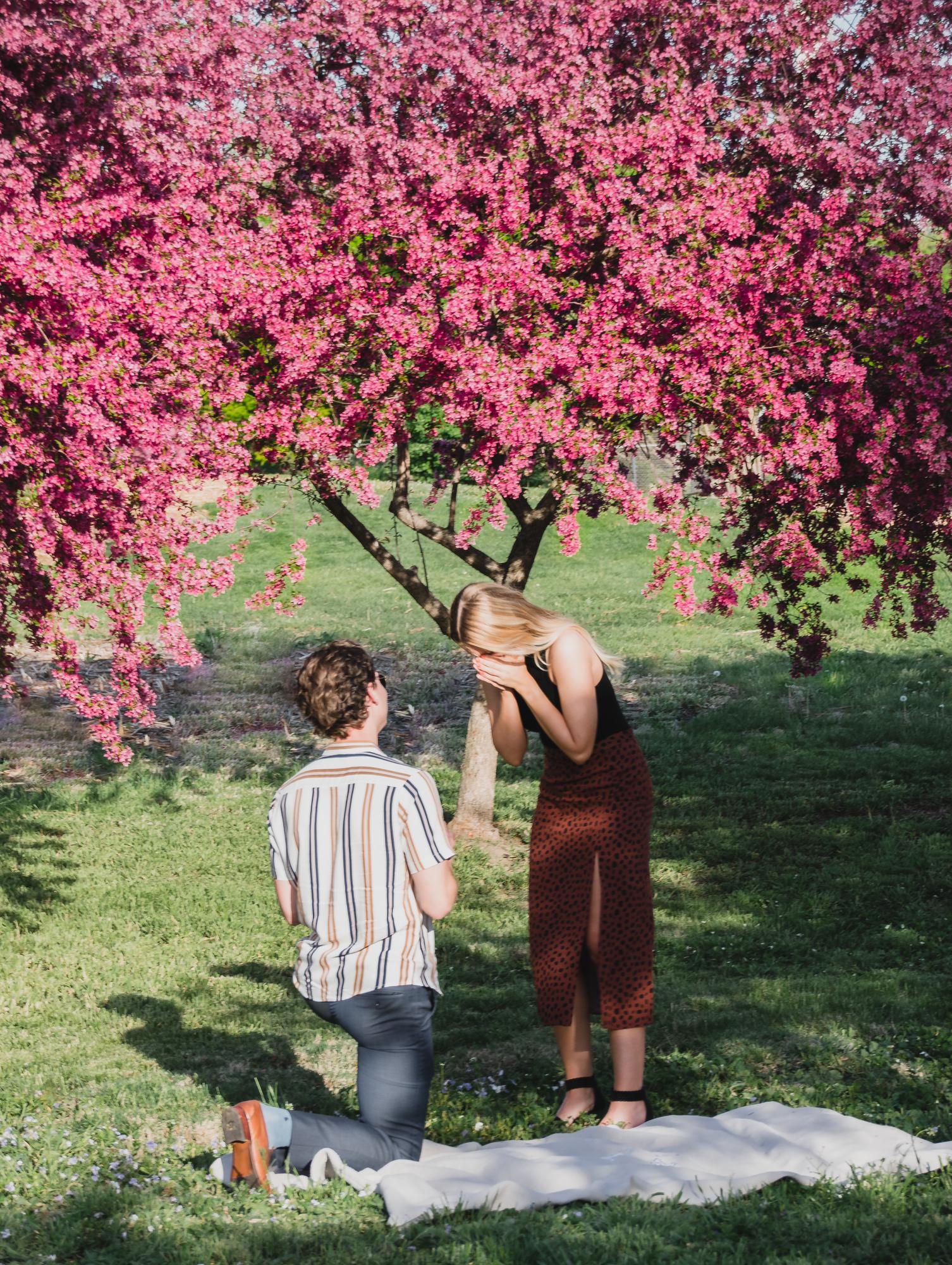 The Proposal
April 30, 2021