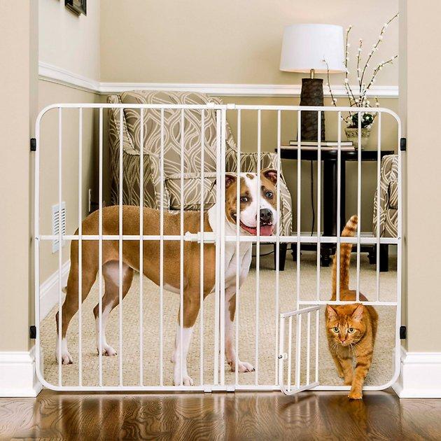 Carlson Pet Products Extra Tall Big Tuffy Expandable Gate with Pet Door