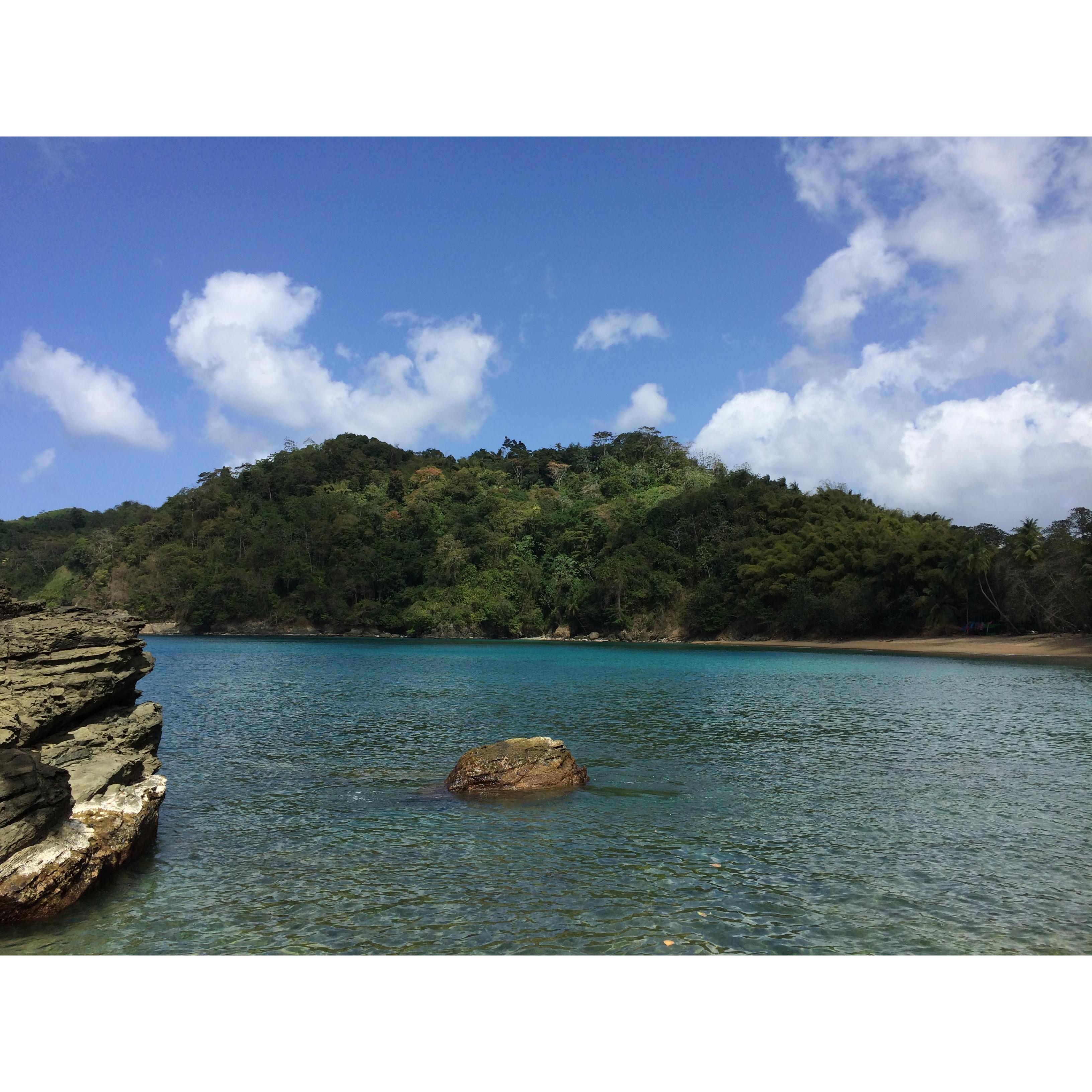 Our favorite beach "Englishman's beach"