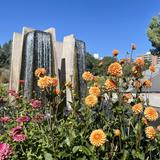 Denver Botanical Gardens