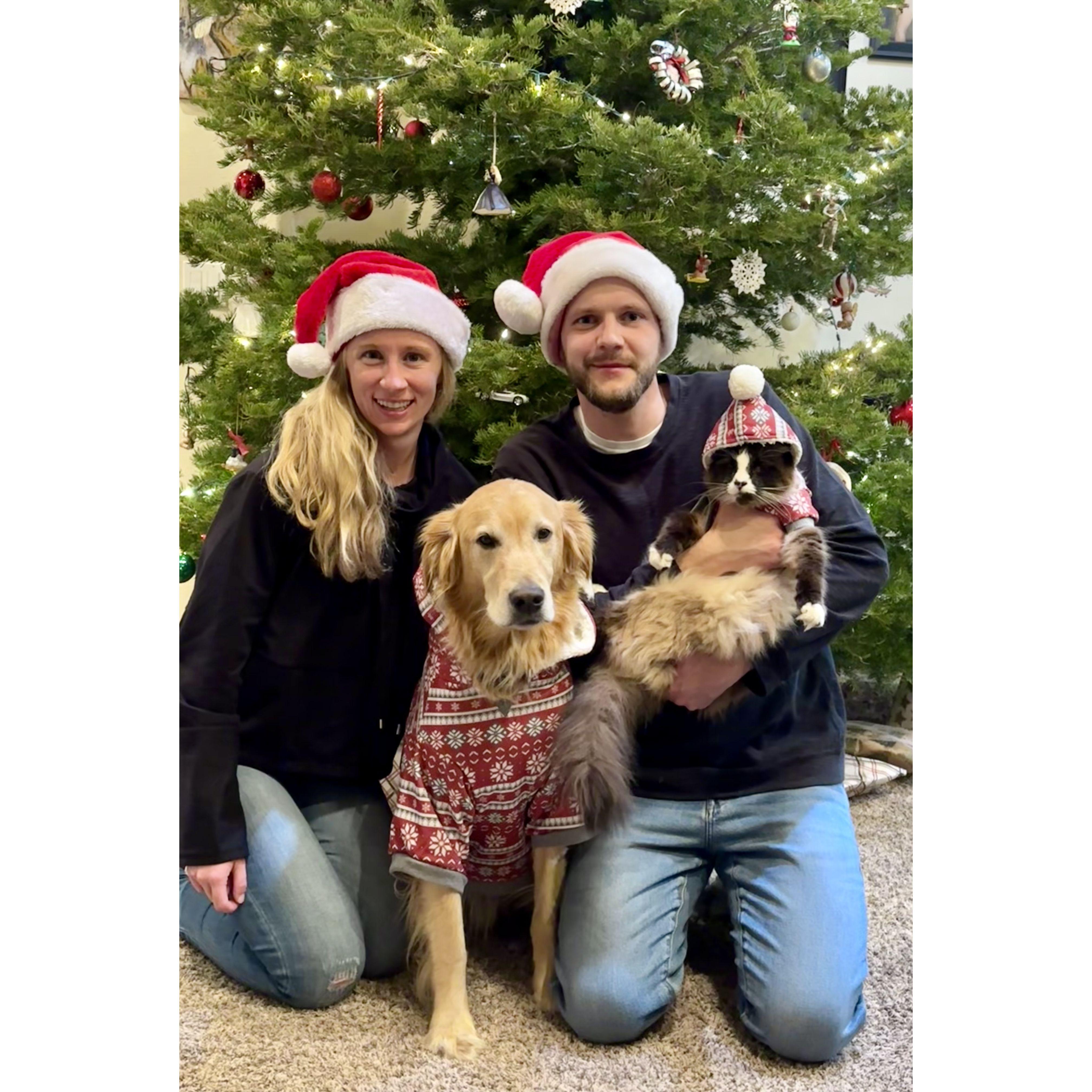 Family Christmas Photo