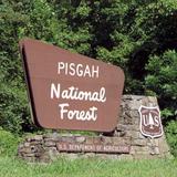Pisgah National Forest