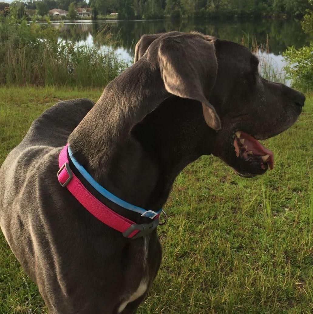 The one and only...the "Lovely Dixie"