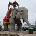 Lucy the Elephant
