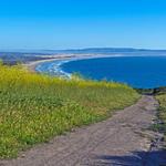 Pismo Trails