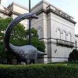 Tour the Carnegie Museum of Natural History and Art
