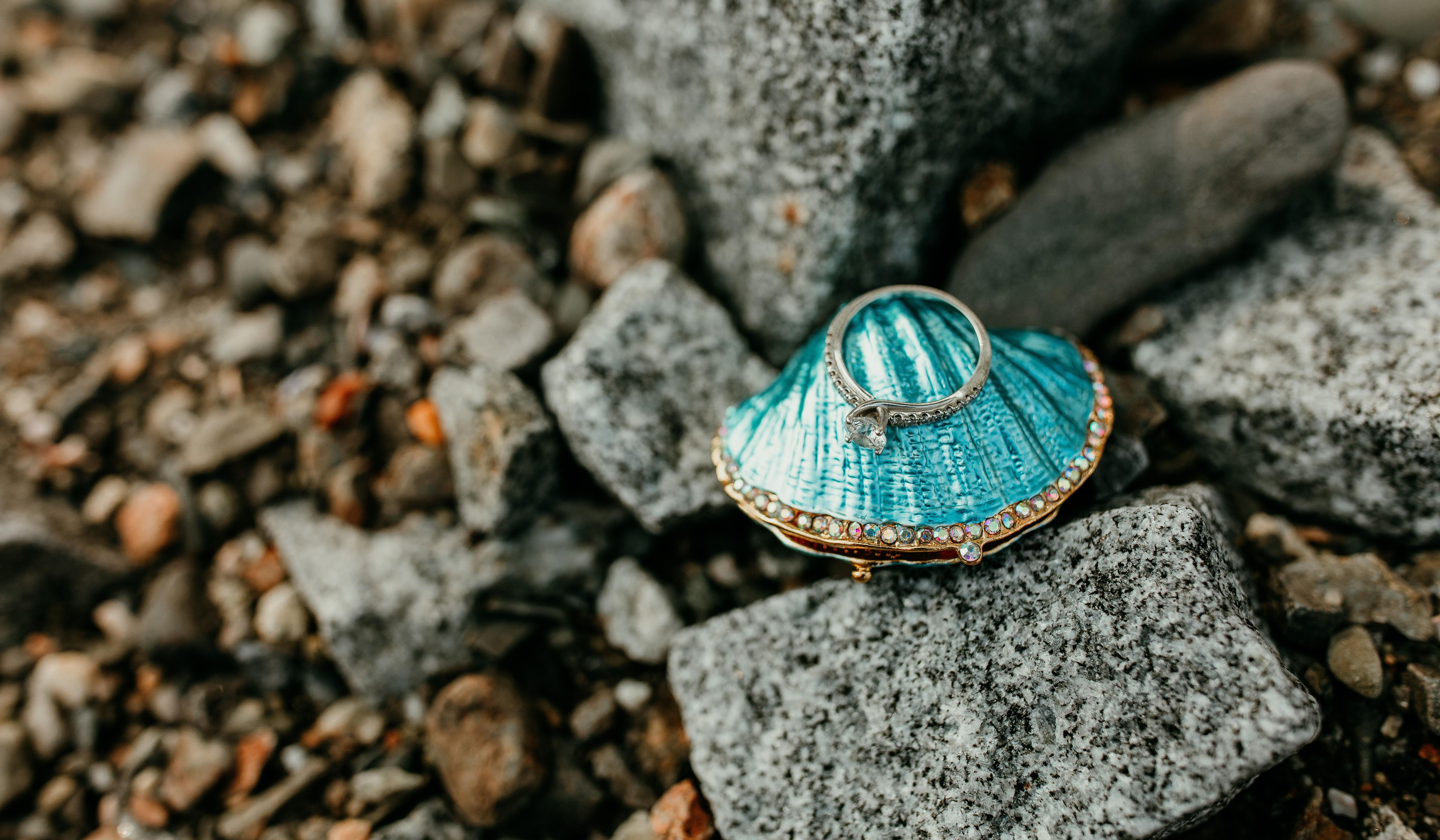 Hero Slideshow Image 4