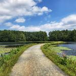 Ashley Reservoir