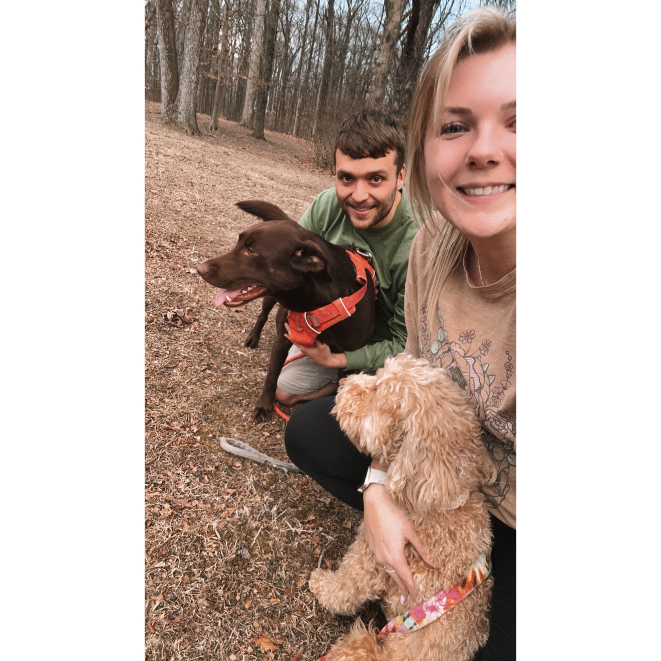 Introducing Rory and Smokey!