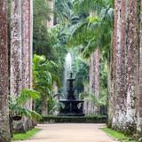 Jardim Botânico