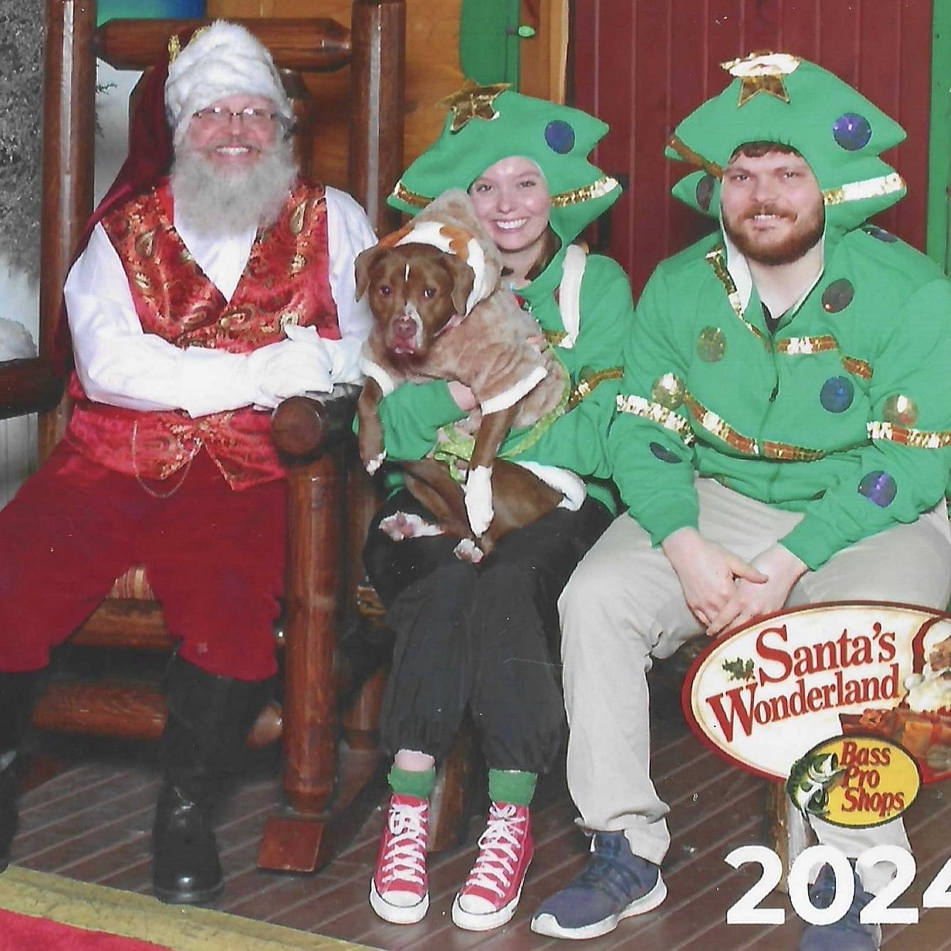 Christmas 2024