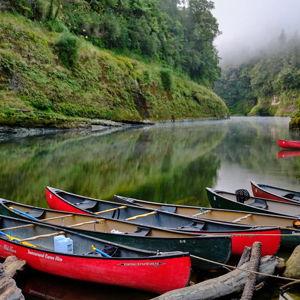 Whanganui River Mountain Bike Trip
