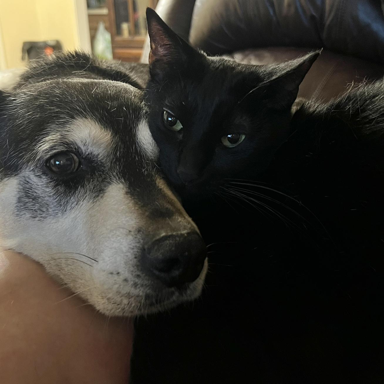 The besties Brookie and Nyx