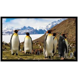110 in. Fixed Wall-Mount Projector Screen
