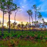 Jonathan Dickinson State Park