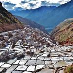 Maras