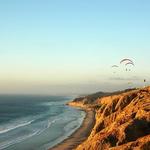 Torrey Pines State Beach
