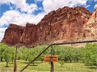 Capitol Reef National Park