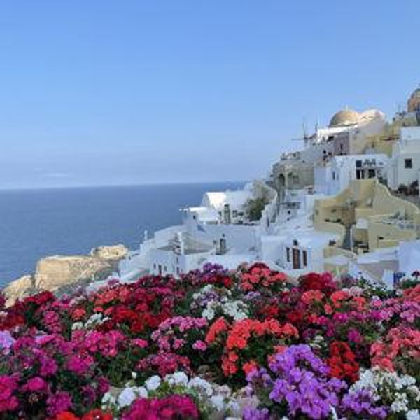HONEYMOON FUND