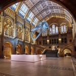 Natural History Museum