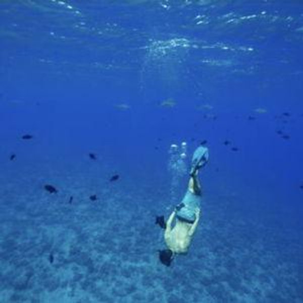 Deep Sea Snorkeling in Bora Bora