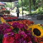 The Fayetteville Farmers Market