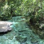 Kelly Park - Rock Springs