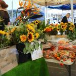 La Jolla Open Aire Farmers Market