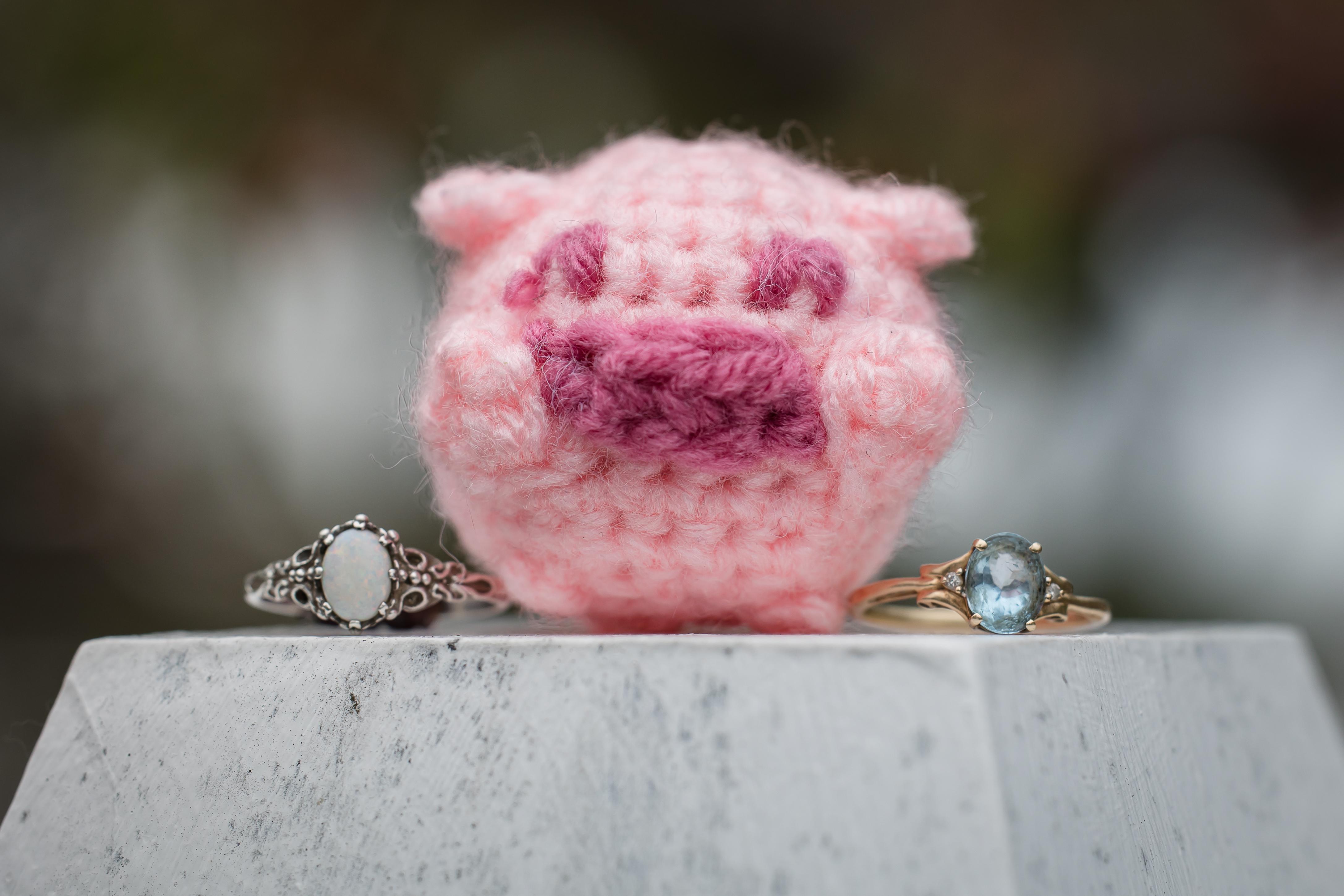 The Wedding Website of Stephanie Callan and Ashlyn Ford