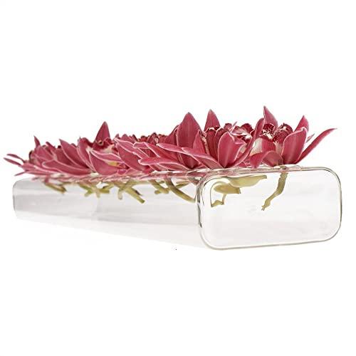 Chive - Hudson 24 Hole Flute, 24 Inches Long Rectangle Unique Clear Glass Bud Flower Vase, Low Laying Elegant Centerpiece, Home Decor Weddings (Large)
