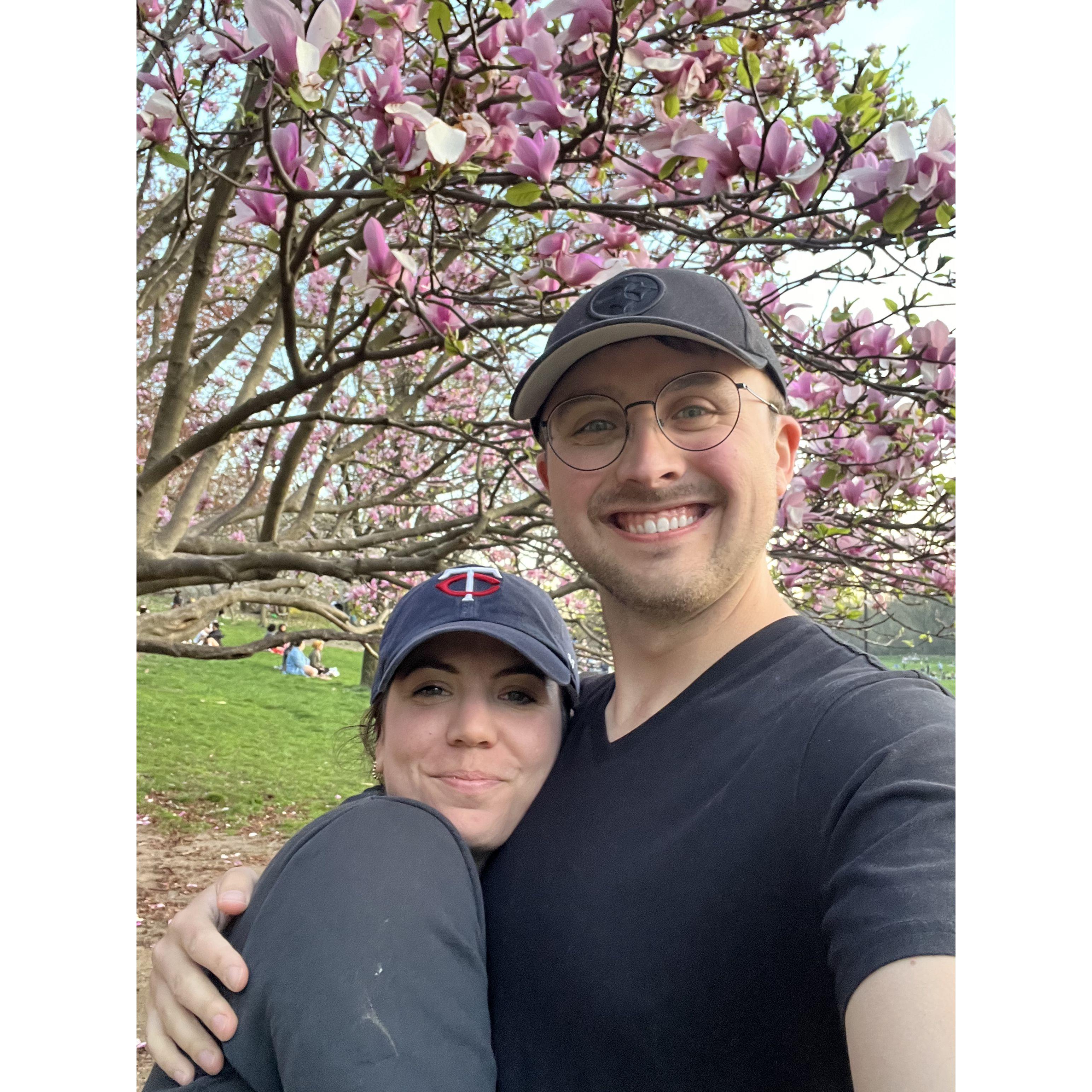 Cherry blossom and magnolia scouting Prospect Park