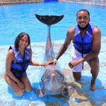 Cabo Dolphins Cabo San Lucas