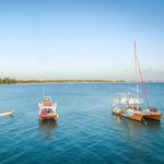 Catamaran Cruise with Open Bar