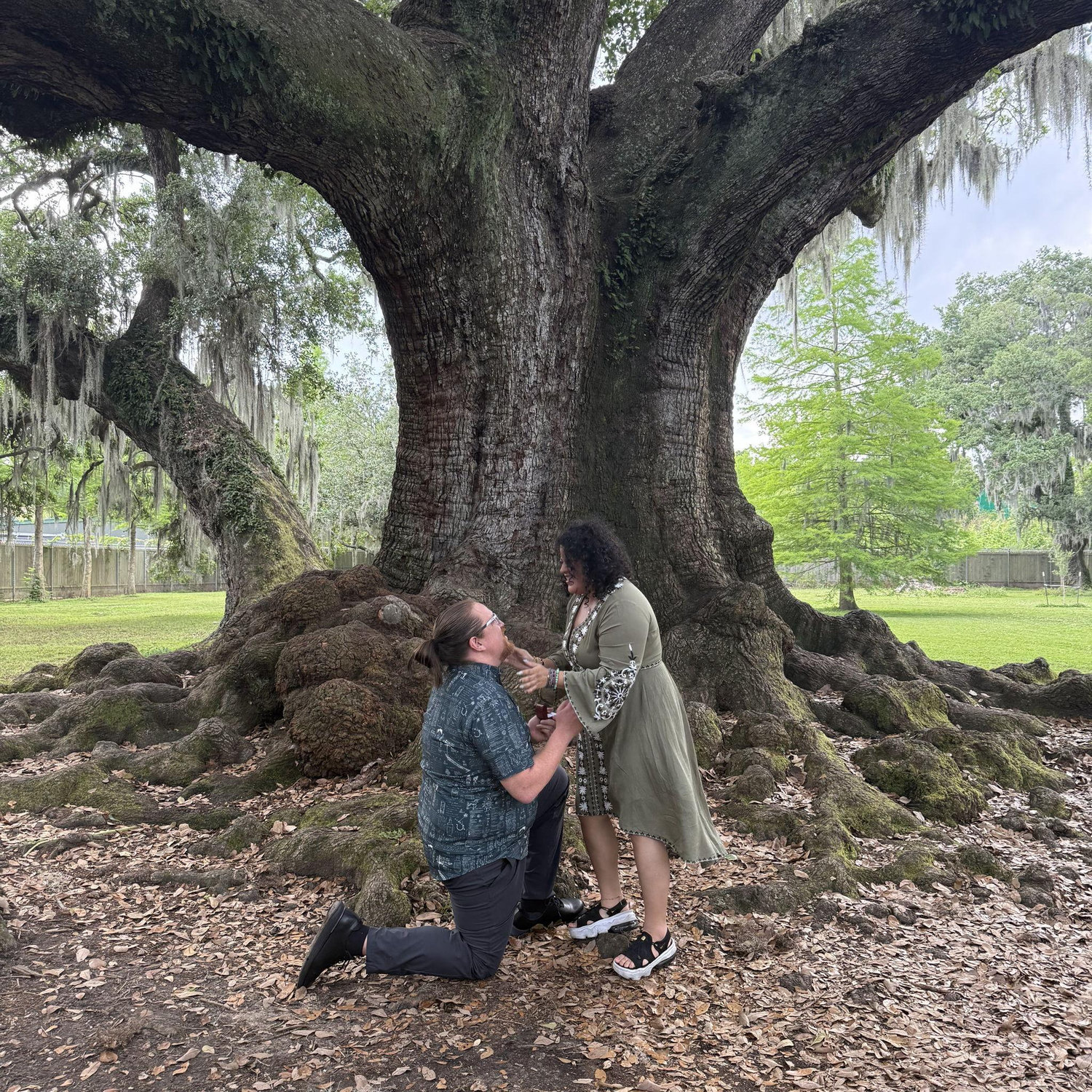 Chris proposing to Olivia under the Tree of Life in Audubon Park in New Orleans, April 25, 2025.