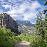 Hiking at Mt Charleston