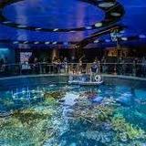 New England Aquarium